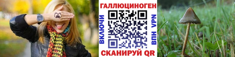 Псилоцибиновые грибы прущие грибы  Купить где  Нижнеудинск 